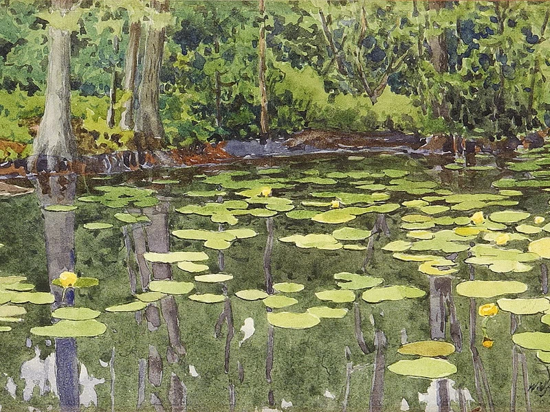 1879 - Gunnar Widforss - Stagno delle ninfeee